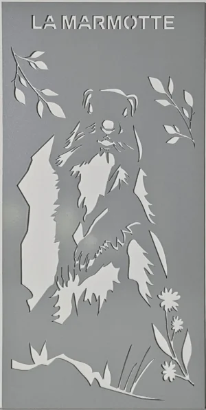 marmotte gris marmotte gris